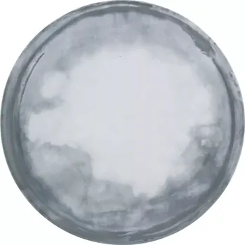 Talíř Mělký talíř Bauscher Smart průměr 20,2 cm, dekor Coast