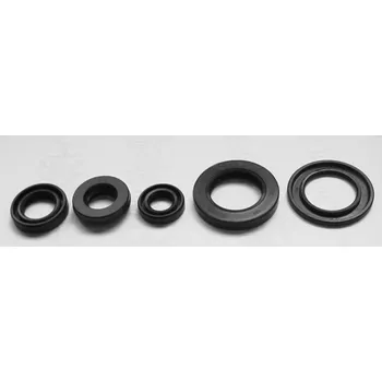 Těsnění motoru TOURMAX sada gufer motoru YAMAHA XT 600E 90-95 vyrobeno v Japonsku (TOURMAX sada gufer motoru YAMAHA XT 600E 90-95 vyrobeno v Japonsku)