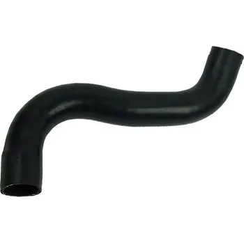 Hadička plnícího vzduchu BUGIAD 81980