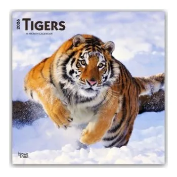 Diář Tigers - Tiger 2026 - 16-Monatskalender (EN)