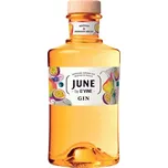 G'Vine June Mango Gin 37,5 % 0,7 l