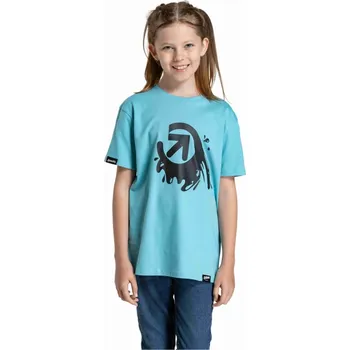 Chlapecké tričko Dětské tričko Meatfly Splash mátová 158