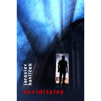 Kniha Neviditelný
