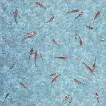 pvc podlaha PVC Family Style TEX-MAXIMA 2003 2 m