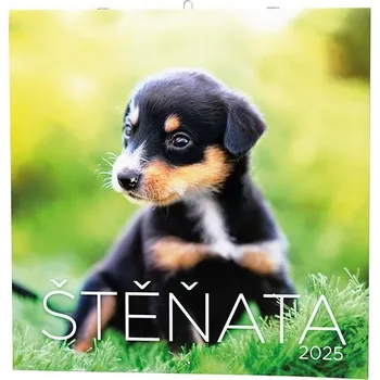 Kalendář Štěňata 2025 - nástěnný kalendář
