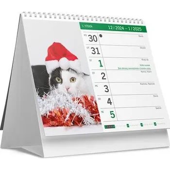 Kalendář Kočky a koťata 2025 - stolní kalendář