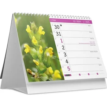 Kalendář Léčivé rostliny 2025 - stolní kalendář