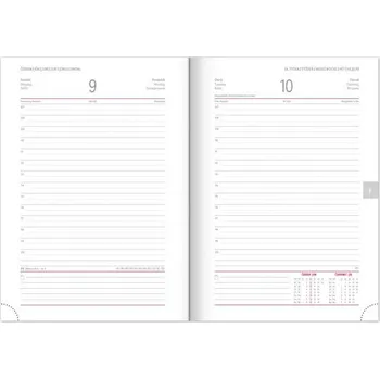 Diář Denní diář Balacron 2025 stříbrný