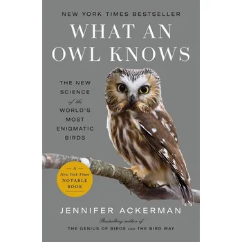 Umění What an Owl Knows