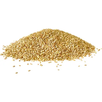 FromNature BIO sezamová semínka - celá neloupaná Množství: 1 kg