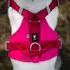Postroj pro psa Hurtta Weekend Warrior II postroj růžový