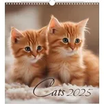 Cats 2025 - nástěnný kalendář