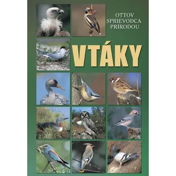 Umění Vtáky