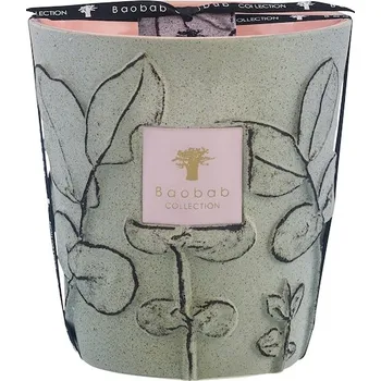 Svíčka Baobab Home Vonne-svickyVonná svíčka Folia Maquis Max. 16 2050 g (1 618,00 Kč / 1 kg)