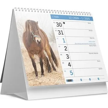 Kalendář Koně 2025 - stolní kalendář