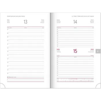 Diář Denní diář Balacron 2025 stříbrný