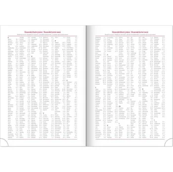 Diář Týdenní diář Aprint 2025 zelený