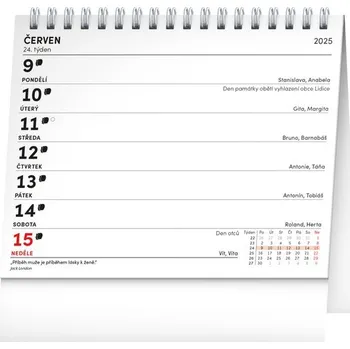 Kalendář Praktický kalendář 2025 - stolní kalendář