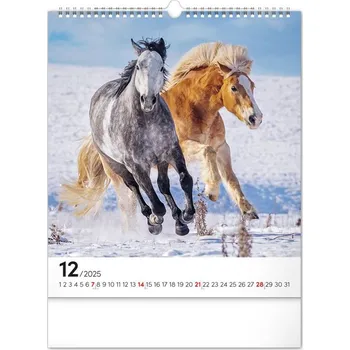 Kalendář PRESCO GROUP Koně 2025 - nástěnný kalendář 10002863 Koně 2025