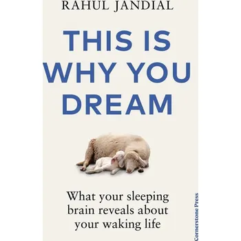 Umění This Is Why You Dream