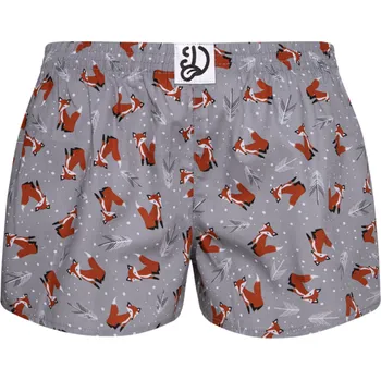 Dámské trenýrky Veselé dámské trenky Liška