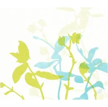 Papírový ubrousek Ubrousek 40 x 40 cm Dunisoft ELISE (60 ks)