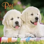 SPEKTRUM GRAFIK Nástěnný kalendář Psi…