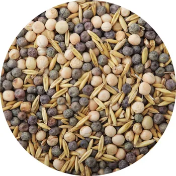 Semeno Maják Směska 1kg luskoobilní (hrách,peluška,oves)