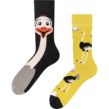 Pánské ponožky Veselé ponožky Pštros