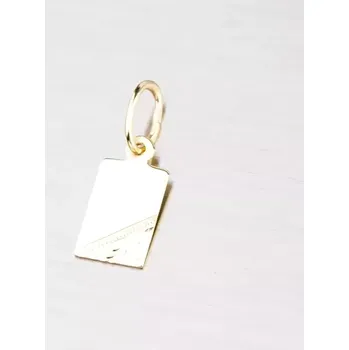Přívěsek Přívěsek žluté zlato 585 destička 322P-131170
