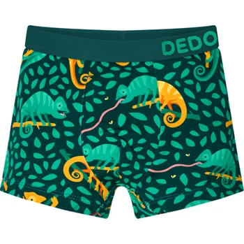 Veselé chlapecké boxerky Chameleon na lovu