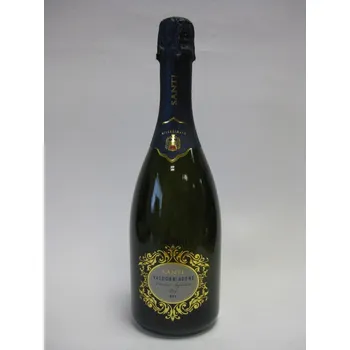SANTI Valdobbiadene Prosseco Superiore Dry DOCG Millesimato 0,75 l
