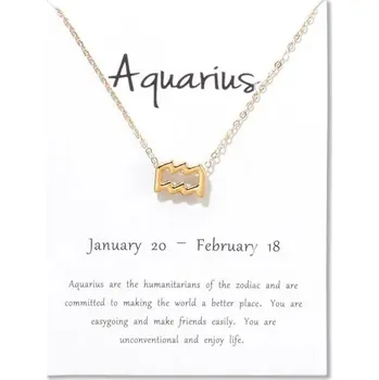Náhrdelník Elegantní náhrdelník s přívěskem znamení zvěrokruhu | náhrdelník, přívěsek - Vodnář