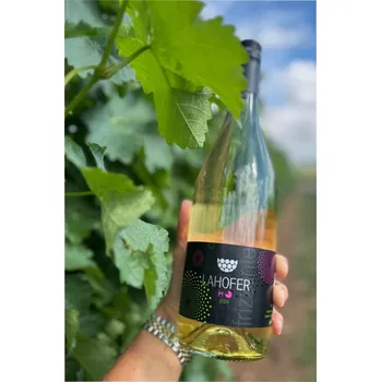 Víno Lahofer Frizzanté m.z.v. 0,75l, polosladké 2024