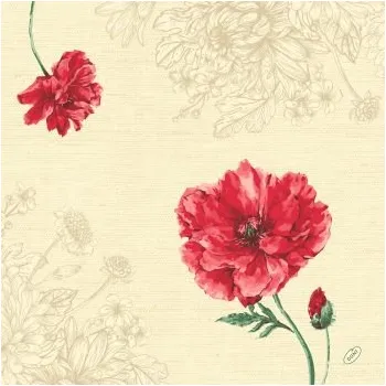 Papírový ubrousek Ubrousek 40 x 40 cm Dunisoft MONIQUE (60&nbsp;ks)