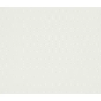 Tapeta Přetíratelná tapeta na zeď Rasch 325805, rozměr Bílá (přetíratelná)