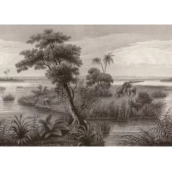 Fototapeta Vliesová fototapeta na zeď Rasch 556148, Magic Walls