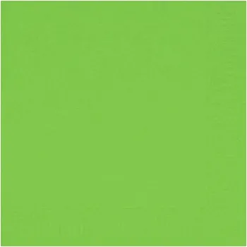 Papírový ubrousek Ubrousek 24 x 24 cm 2vrstvý světle zelený (300&nbsp;ks)