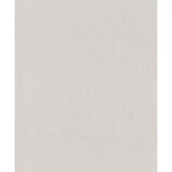 Tapeta Vliesová tapeta na zeď Rasch 650556, kolekce Andy Wand Šedá