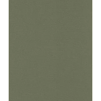 Tapeta Vliesová tapeta na zeď Rasch 555943, Lirico Zelená