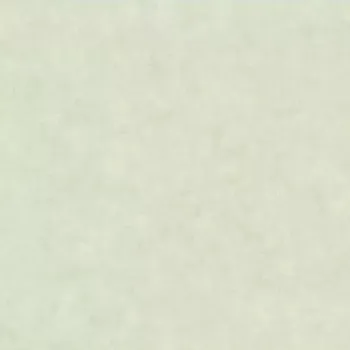 Tapeta Vliesová tapeta na zeď Caselio 101487042 BETON 2 Zelená