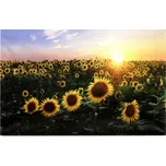 Autronic Obraz nástěnná svítící dekorace - 1 ks LED světla BD560