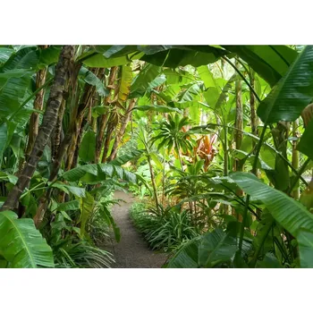 Fototapeta Vliesová fototapeta na zeď Rasch 363784, Magic Walls