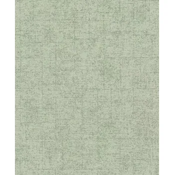 Tapeta Vliesová tapeta na zeď Rasch 507843, Tapetenwechsel 2 Zelená