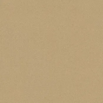 Tapeta Vliesová tapeta na zeď Rasch 441659, Welcome home Zlatá