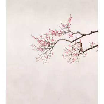 Fototapeta Vliesová fototapeta na zeď Rasch 361087, Magic Walls