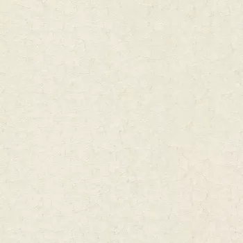 Tapeta Přetíratelná tapeta na zeď Rasch 325850, rozměr Bílá (přetíratelná)