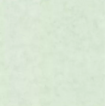 Tapeta Vliesová tapeta na zeď Caselio 101487400 BETON Zelená