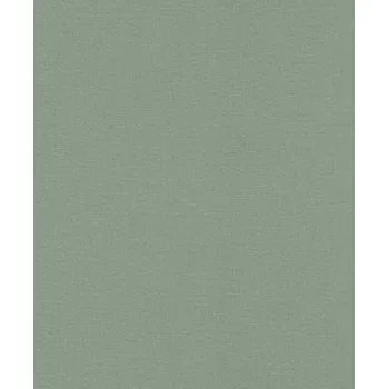 Tapeta Vliesová tapeta na zeď Rasch 555936, Lirico Zelená
