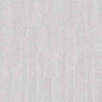 Tapeta Vliesová tapeta na zeď Rasch 418910, kolekce Club Stříbrná;Šedá